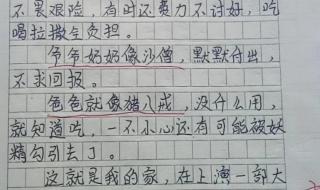 回家的路上作文